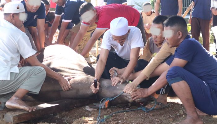 Lapas Serang Sembelih 4 Sapi dan 26 Kambing, Warga Binaan Diajak Nyate Bareng