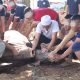 Lapas Serang Sembelih 4 Sapi dan 26 Kambing, Warga Binaan Diajak Nyate Bareng