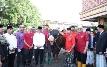 Andra Soni Serahkan Sapi Kurban Bantuan Prabowo di Tangerang, Beratnya 1,2 Ton