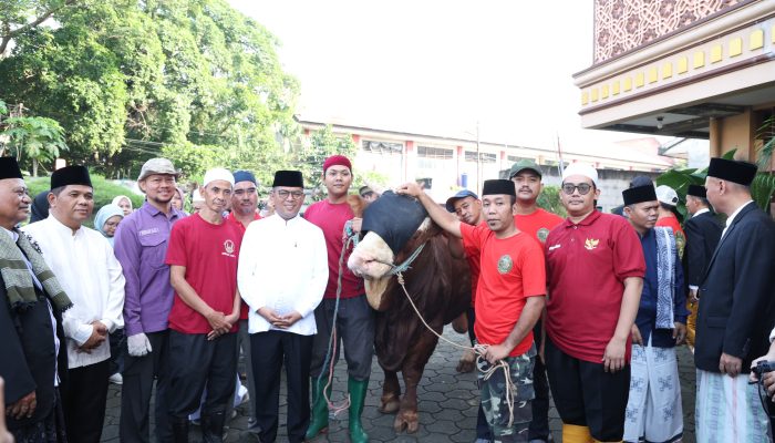Andra Soni Serahkan Sapi Kurban Bantuan Prabowo di Tangerang, Beratnya 1,2 Ton