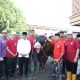 Andra Soni Serahkan Sapi Kurban Bantuan Prabowo di Tangerang, Beratnya 1,2 Ton