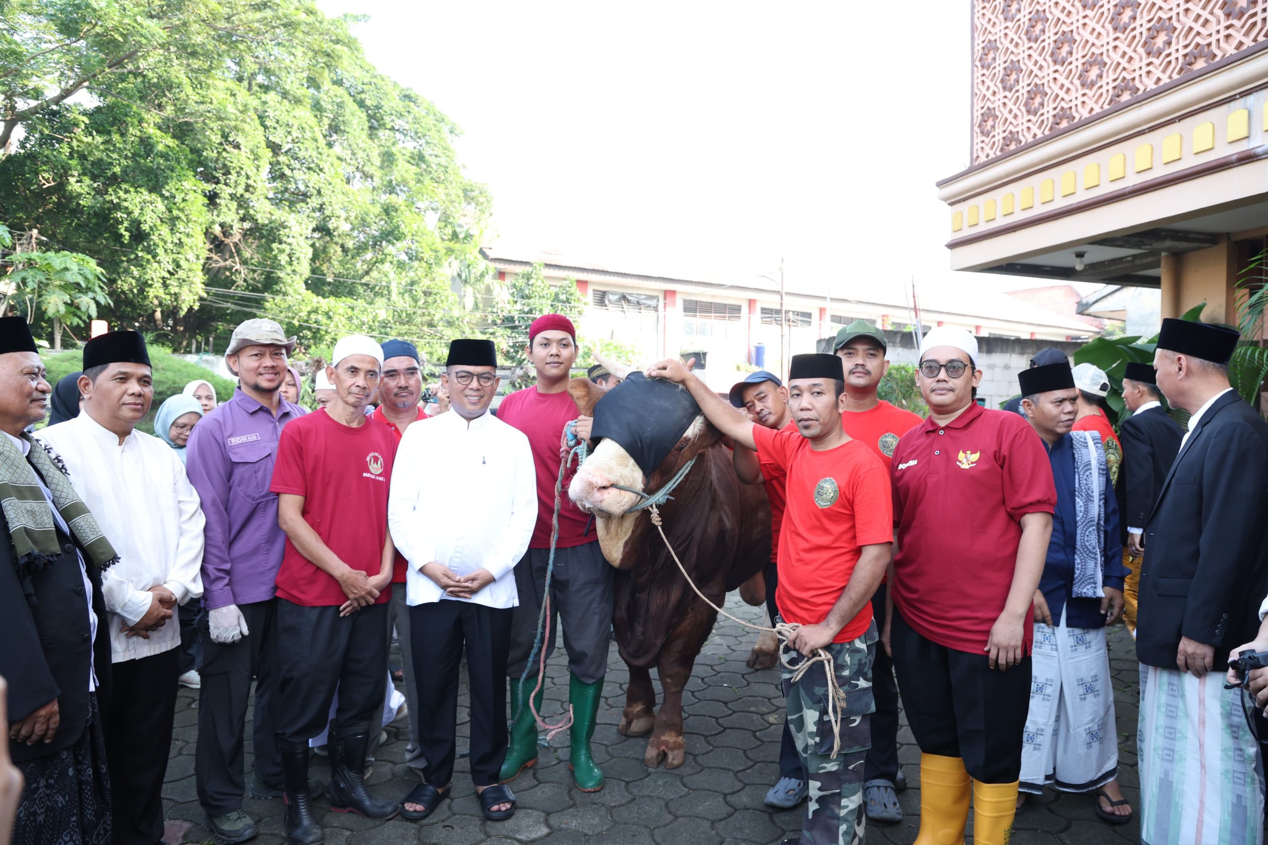 Andra Soni Serahkan Sapi Kurban Bantuan Prabowo di Tangerang, Beratnya 1,2 Ton