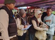 DKPP Kota Serang Temukan Kambing Terjangkit Orf, Belum Ada Kasus PMK