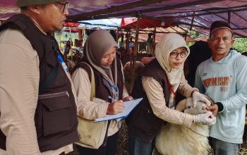 DKPP Kota Serang Temukan Kambing Terjangkit Orf, Belum Ada Kasus PMK