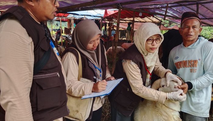 DKPP Kota Serang Temukan Kambing Terjangkit Orf, Belum Ada Kasus PMK