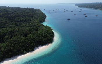 Eksplorasi Taman Nasional Ujung Kulon, Banten Genjot Promosi Ekowisata Kelas Dunia Eksplorasi Taman Nasional Ujung Kulon, Banten Genjot Promosi Ekowisata Kelas Dunia