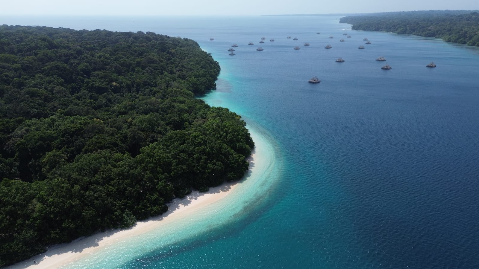Eksplorasi Taman Nasional Ujung Kulon, Banten Genjot Promosi Ekowisata Kelas Dunia