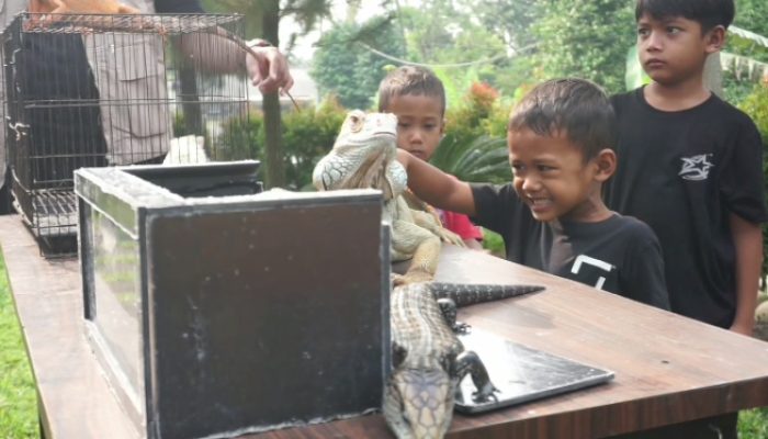 Libur Sekolah, Cafe Ergana Adakan Komunitas Satwa Diserbu Anak-anak