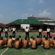 Kalapas Serang Beri Arahan Pada Warga Binaan Mapenaling, Tekankan Kepatuhan dan Zero HALINAR