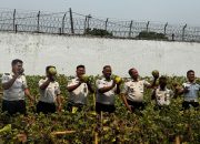 Lapas Serang Panen Blewah dan Anggur, Bekali Warga Binaan Keterampilan Bertani