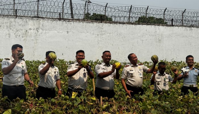 Lapas Serang Panen Blewah dan Anggur, Bekali Warga Binaan Keterampilan Bertani