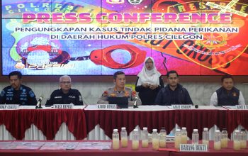 Polisi Gagalkan Penyelundupan 50 Ribu Benih Lobster di Pelabuhan Merak, 2 Orang Ditangkap