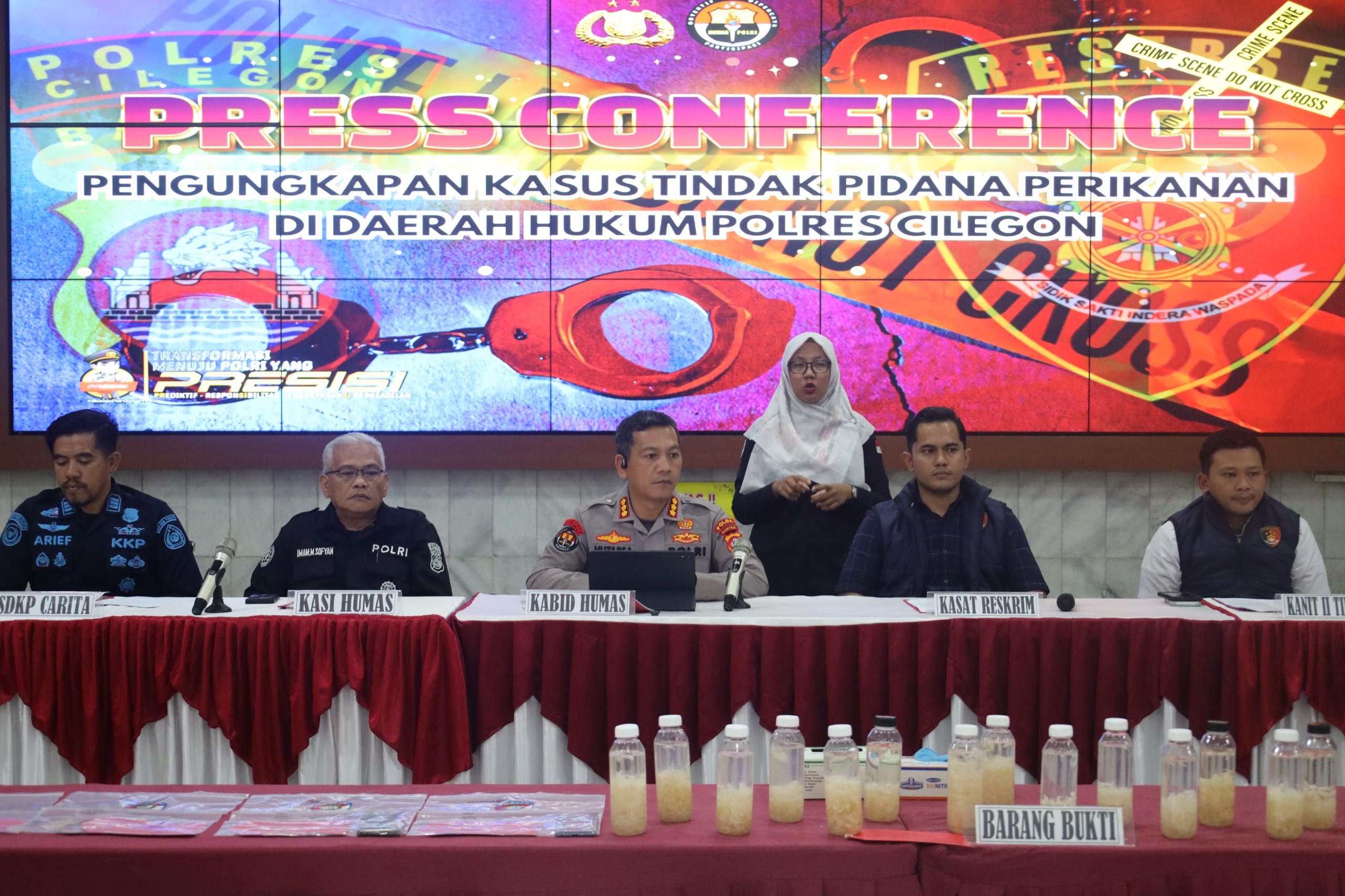 Polisi Gagalkan Penyelundupan 50 Ribu Benih Lobster di Pelabuhan Merak, 2 Orang Ditangkap