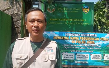 Ratusan Siswa SD Ikuti Edukasi Konservasi di Cagar Alam Rawa Danau