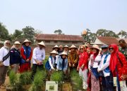 IWAPI Luncurkan Kampung Hortikultura Percontohan di Kabupaten Serang, Dorong Ketahanan Pangan
