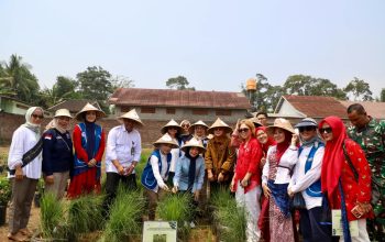 IWAPI Luncurkan Kampung Hortikultura Percontohan di Kabupaten Serang, Dorong Ketahanan Pangan