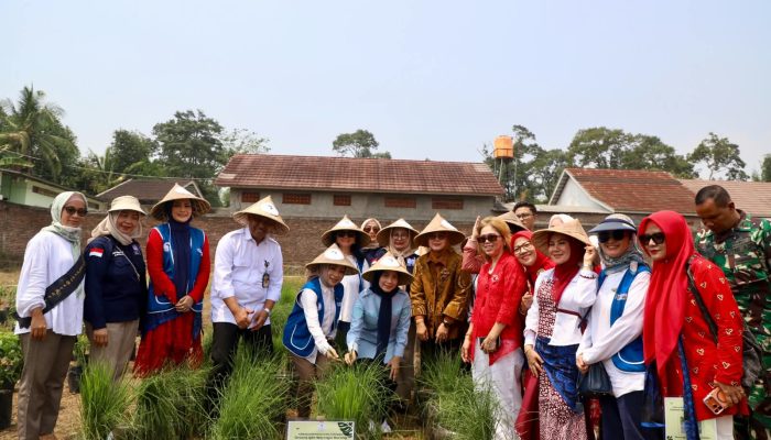 IWAPI Luncurkan Kampung Hortikultura Percontohan di Kabupaten Serang, Dorong Ketahanan Pangan