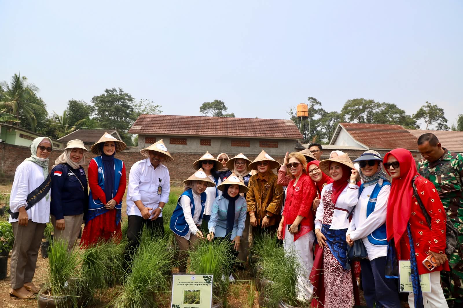 IWAPI Luncurkan Kampung Hortikultura Percontohan di Kabupaten Serang, Dorong Ketahanan Pangan